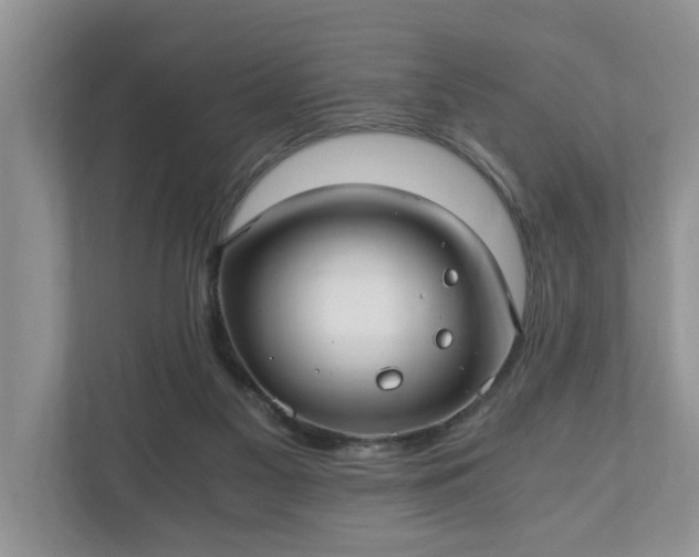 X0000110890117200906251325