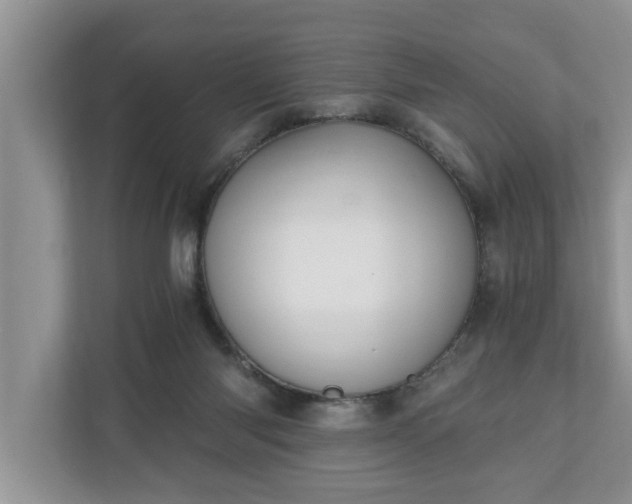 X0000110890118200906251325