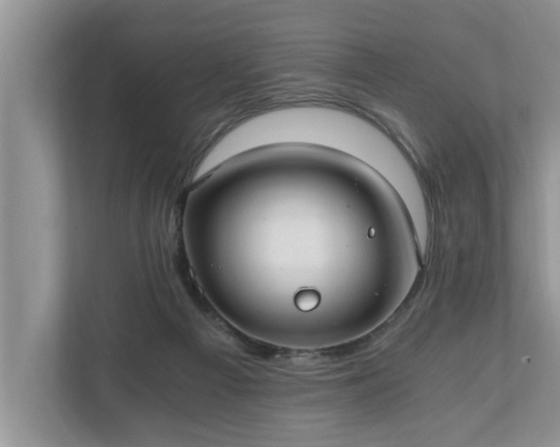 X0000110890121200906251325