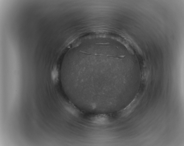 X0000110890124200906251325