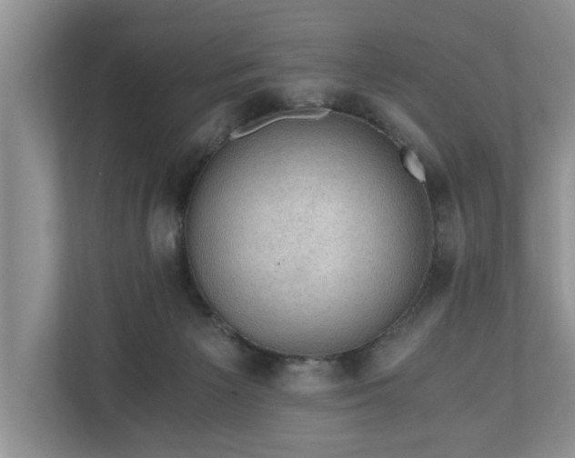 X0000110890125200906251325
