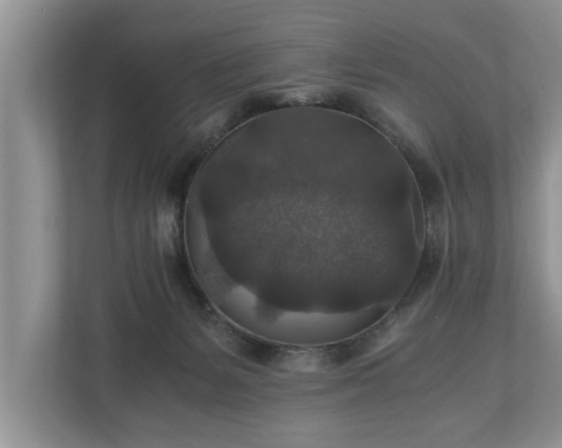X0000110890127200906251325