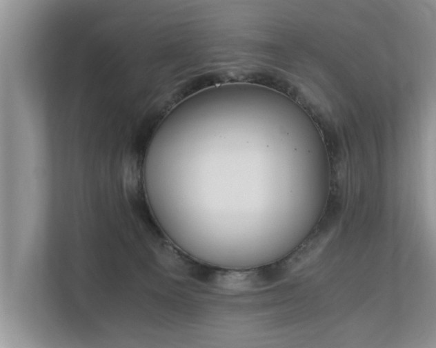 X0000110890129200906251325