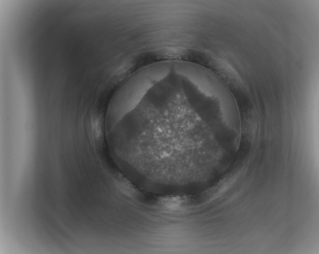 X0000110890131200906251325