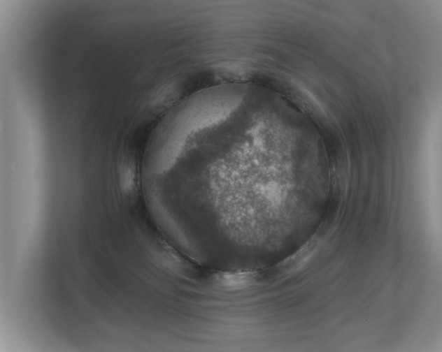 X0000110890134200906251325