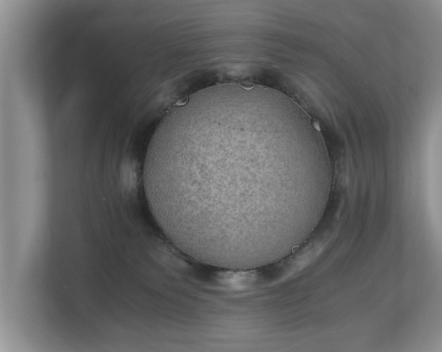X0000110890135200906251325
