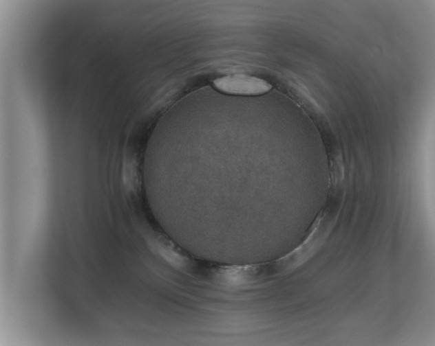 X0000110890136200906251325