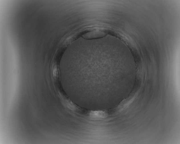 X0000110890137200906251325