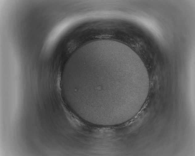 X0000110890146200906251324