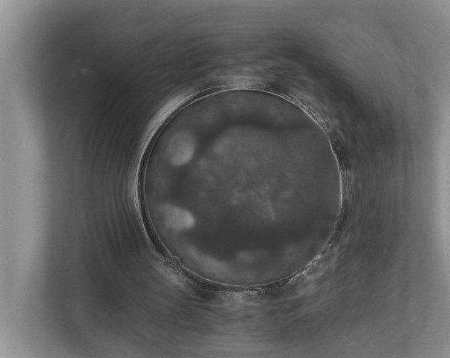 X0000110890147200906251324