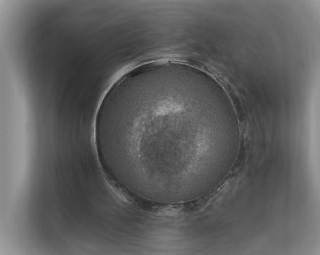 X0000110890148200906251324