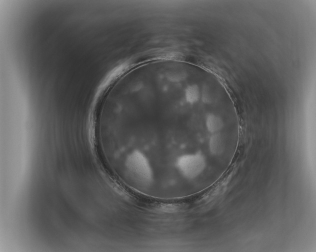 X0000110890149200906251324