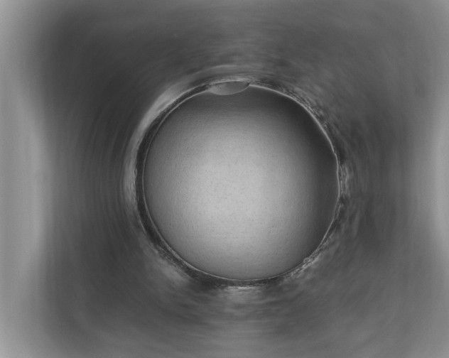 X0000110890150200906251324