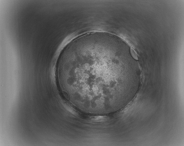 X0000110890151200906251324
