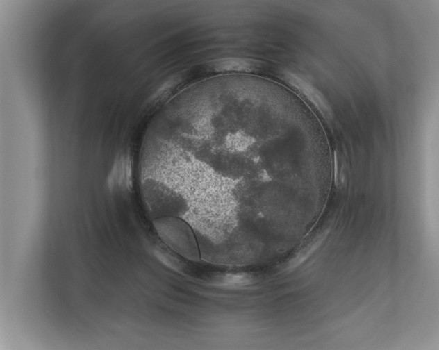 X0000110890157200906251324