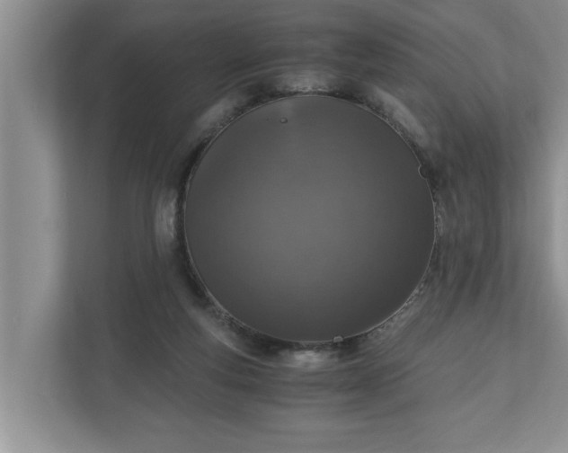X0000110890163200906251324