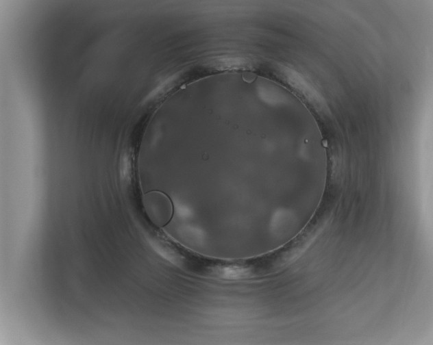 X0000110890165200906251324