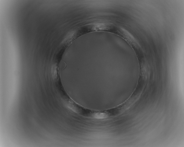 X0000110890169200906251324