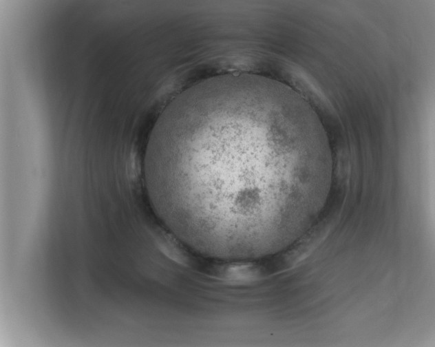 X0000110890173200906251325