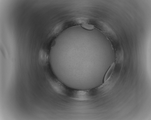 X0000110890176200906251325