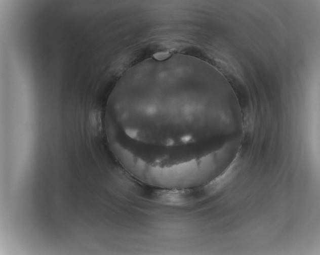 X0000110890182200906251325