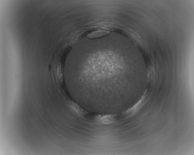 X0000110890186200906251325