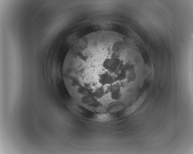 X0000110890189200906251325