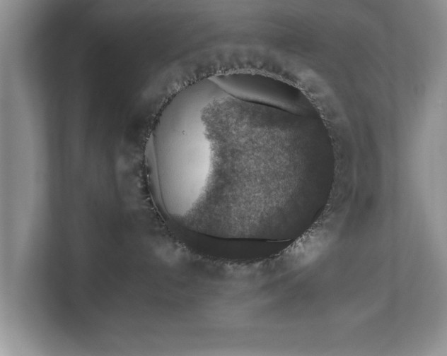 X0000110890192200906251325