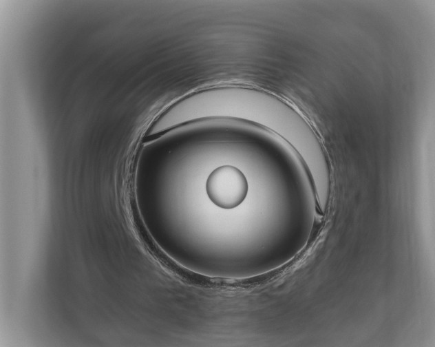 X0000110890193200906251324