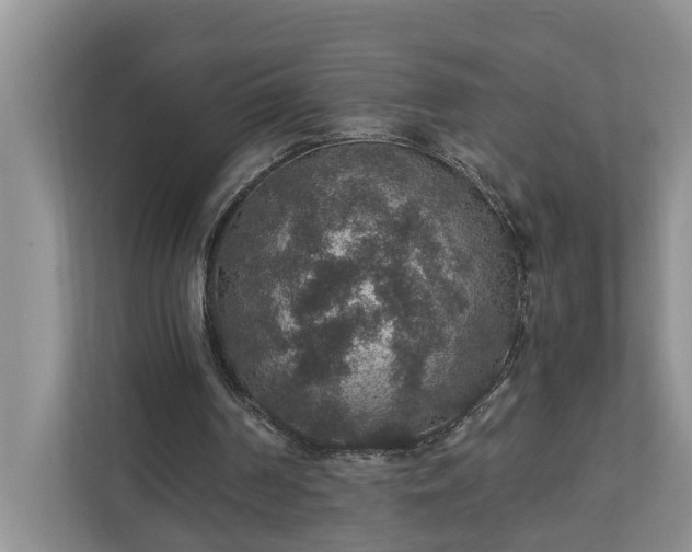 X0000110890194200906251324