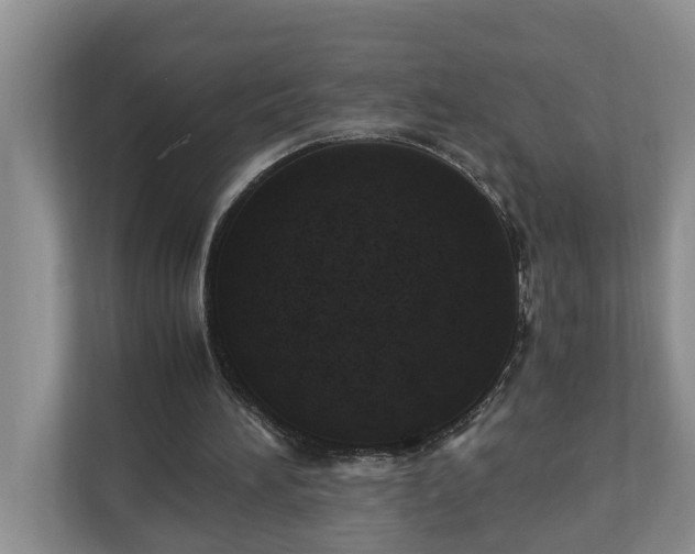 X0000110890196200906251324