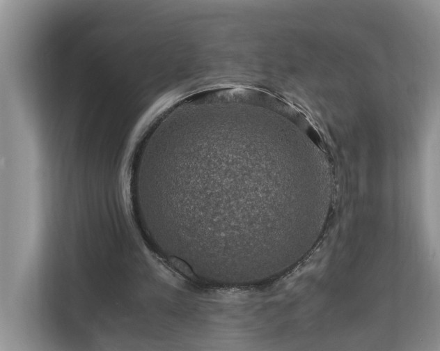 X0000110890197200906251324