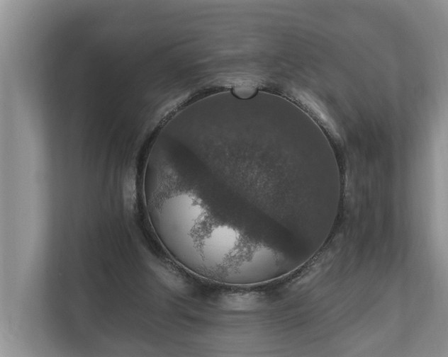 X0000110890202200906251324