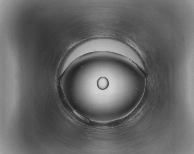 X0000110890203200906251324