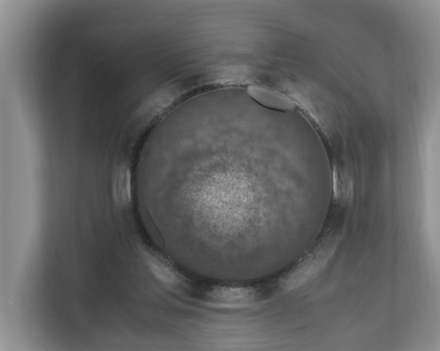 X0000110890205200906251324