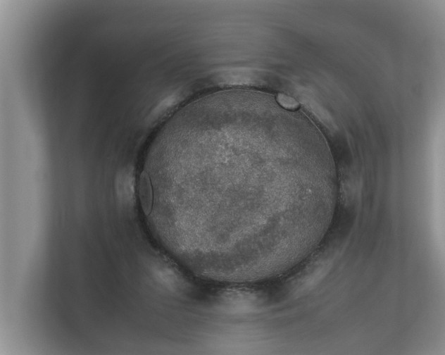 X0000110890207200906251324