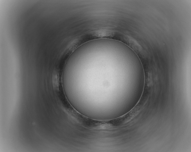X0000110890210200906251324