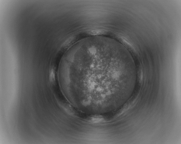 X0000110890214200906251324