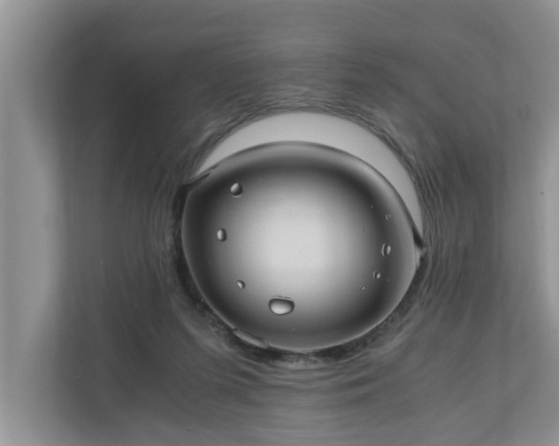 X0000110890215200906251324