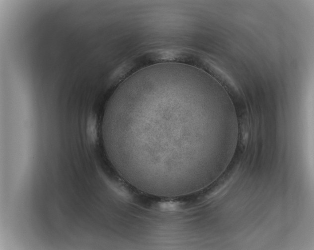 X0000110890216200906251324