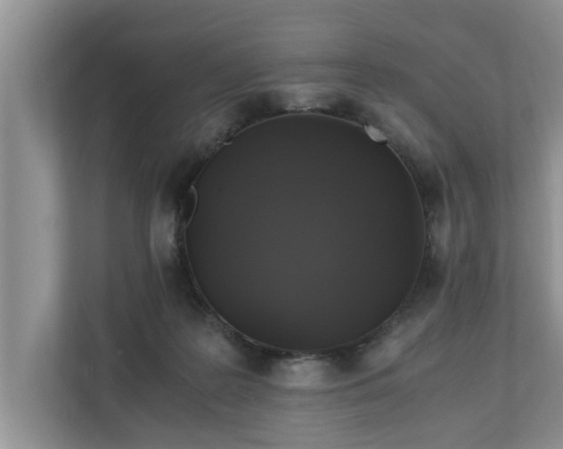 X0000110890219200906251324