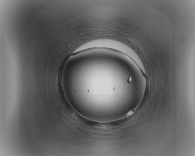 X0000110890221200906251324