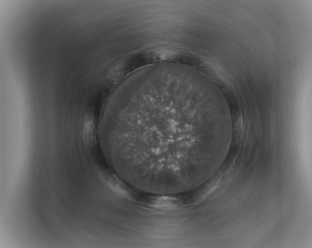 X0000110890222200906251324