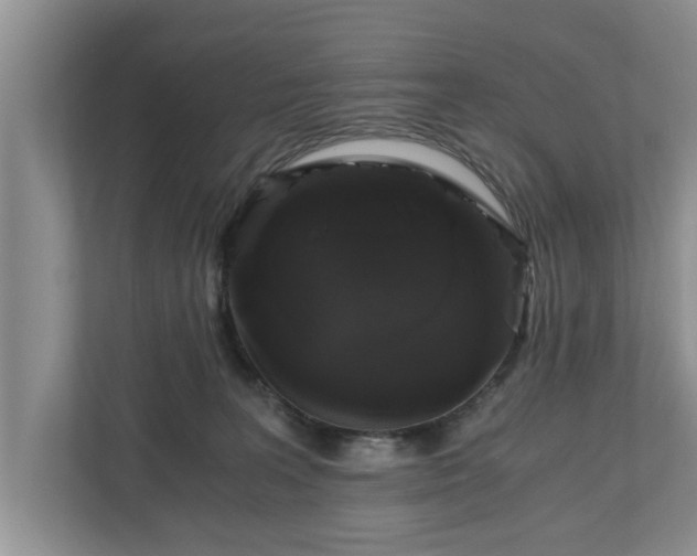 X0000110890227200906251324