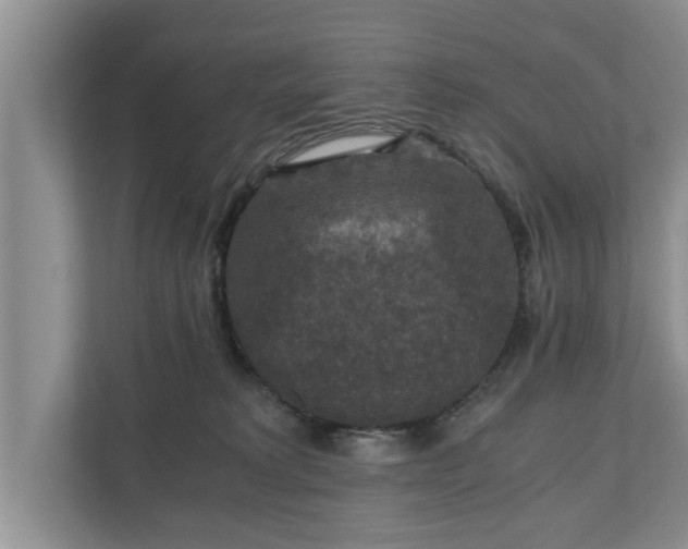 X0000110890229200906251324