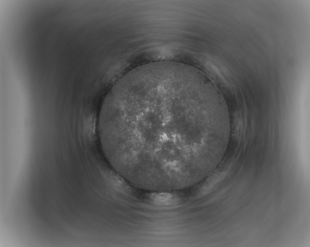 X0000110890230200906251324