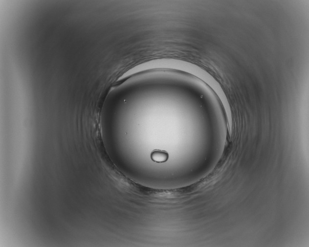X0000110890237200906251324