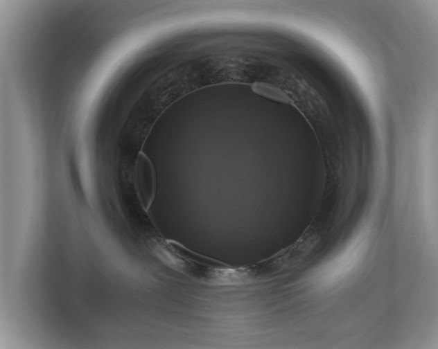 X0000110890239200906251324