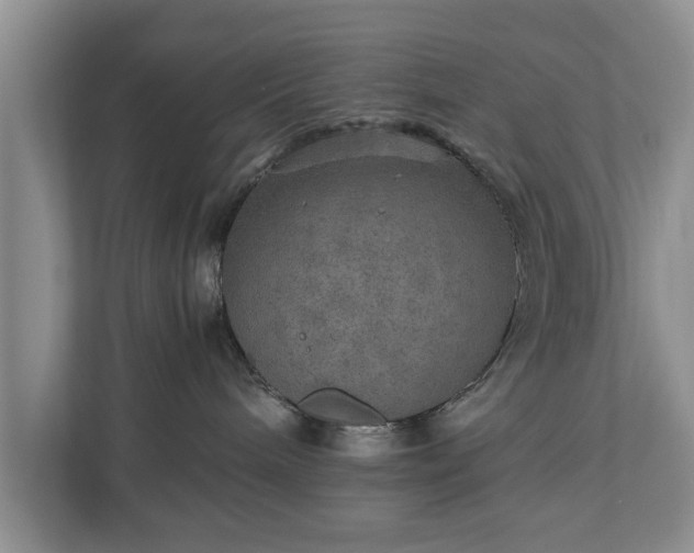 X0000110890240200906251324