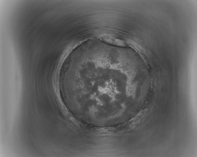 X0000110890241200906251323